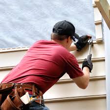 Best Siding Repair  in Davison, MI